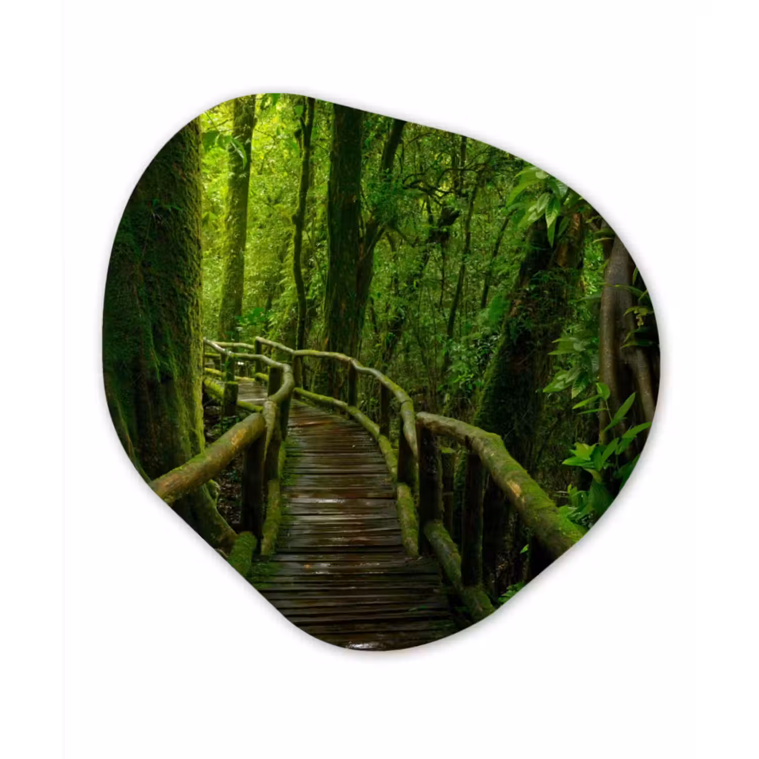 Organische Formen – Aluminium – Jungle - Brug - Mos - Natuur - Tropisch