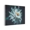 Zeewezen - Wit - Golven - Water PET vilt klein -3d