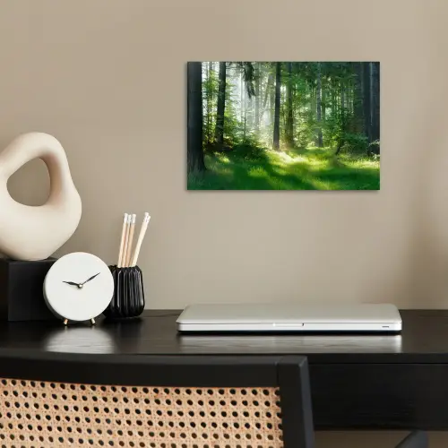 Natuur - Bomen - Bos - Groen - Zon - Gras - Planten poster papier klein -sfeer1