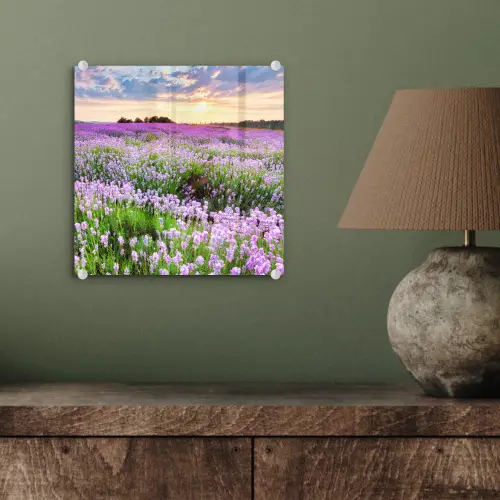 Lavendel - Bloemen - Zonsondergang - Paars - Weide plexiglas 5mm klein -sfeer3