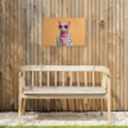 Zonnebril - Kat - Sjaal - Bloemen Tuinposter op houten frame 2 cm dik klein -sfeer4