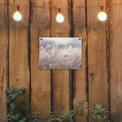 Graspluimen - Wind - Beige - Mistig tuinposter los doek klein -sfeer1