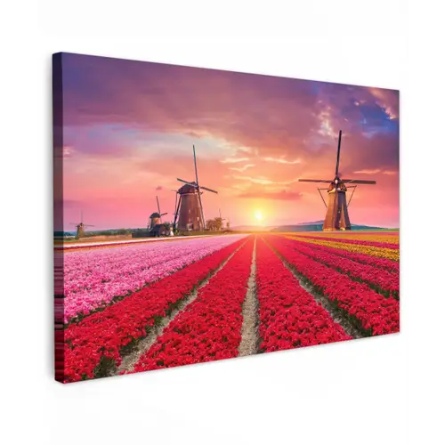 Tulpenvelden met windmolens bij zonsondergang Tuinposter op houten frame 2 cm dik klein -3d