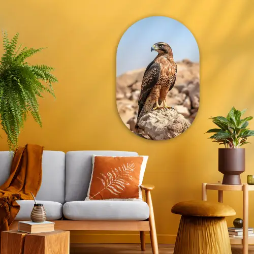 Valk - Vogel - Rots - Macht Wandcirkel Ovaal Glas middel -sfeer4