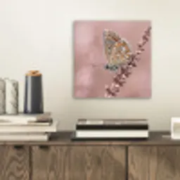 Lavendel - Vlinder - Paars aluminium wit klein -sfeer1