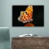 Vlinder - Bloemen - Insect - Portret - Zwart - Oranje canvas 2cm klein -sfeer4