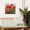 Bloeipracht van Klaprozen tuinposter los doek klein -sfeer7