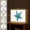 Zeester - Blauw - Spetters Light Box met batterij (Wandlamp kind) middel -USP_websiteoverzichtNL