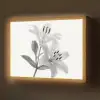 Lelies - Elegant - Zwart - Wit Light Box met batterij (Wandlamp) middel -z3d_website
