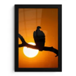 Gier - Tak - Zon - Oranje fotolijst zwart zonder passe partout klein -3d