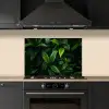 Bladeren - Regendruppels - Licht - Groen keuken achterwand spatscherm klein -sfeer1