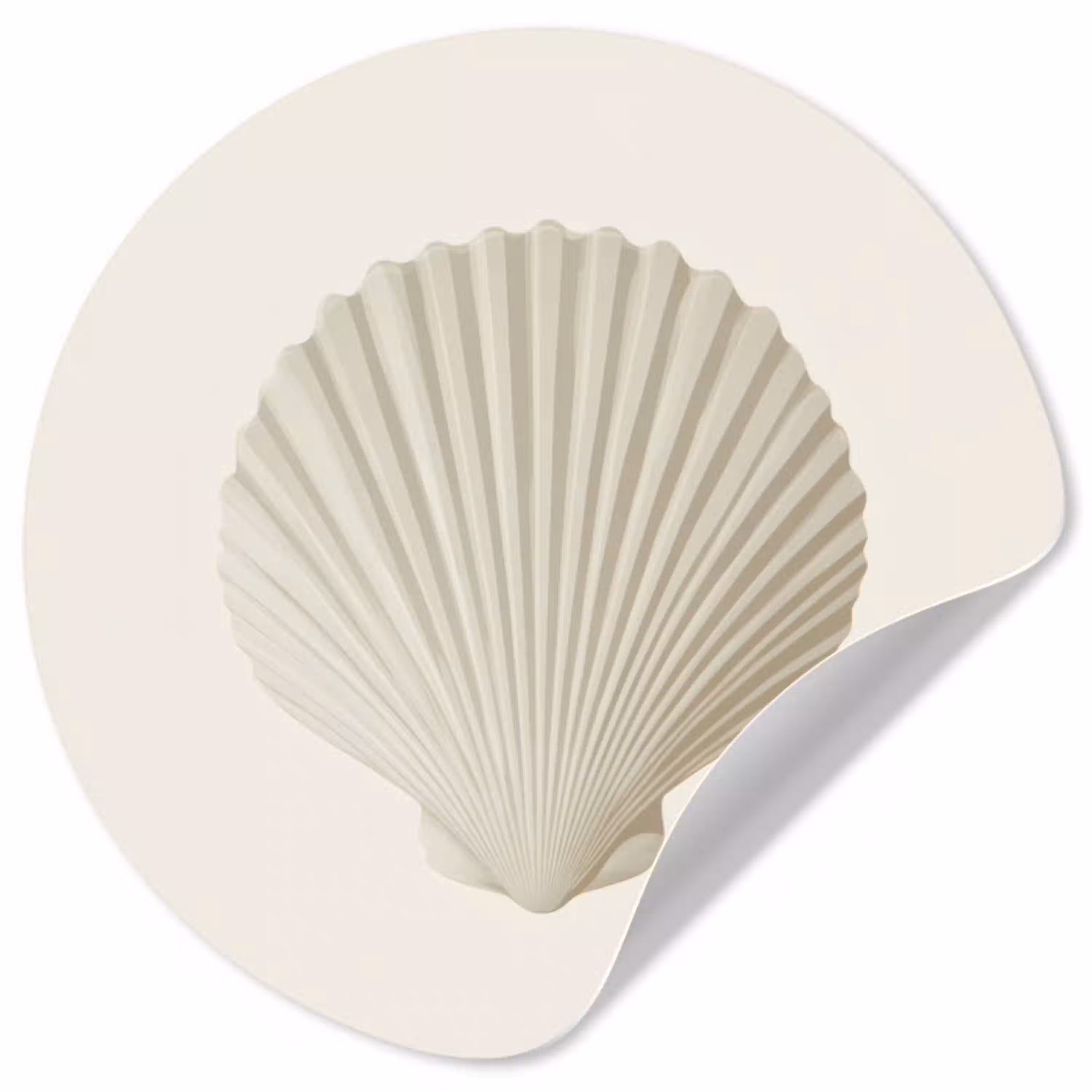 Schelp - Minimalistisch - Wit Wandcirkel behangsticker klein -3d