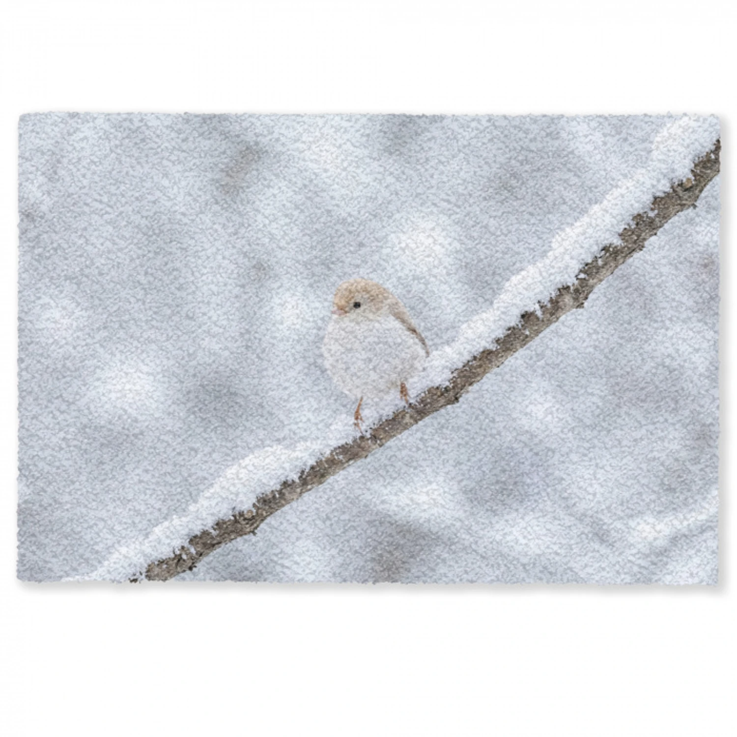 Vogeltje - Sneeuw - Tak - Winter - Zacht Deurmat klein -zkaufland3d