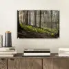 Zon - Takken - Bomen - Bos - Natuur plexiglas 5mm klein -sfeer1