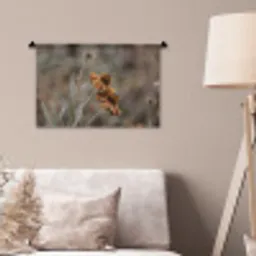Zonnehoed - Droogbloemen - Geel - Warm Wandkleed katoen klein -sfeer4