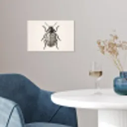 Kever - Insect - Vintage poster papier klein -sfeer3