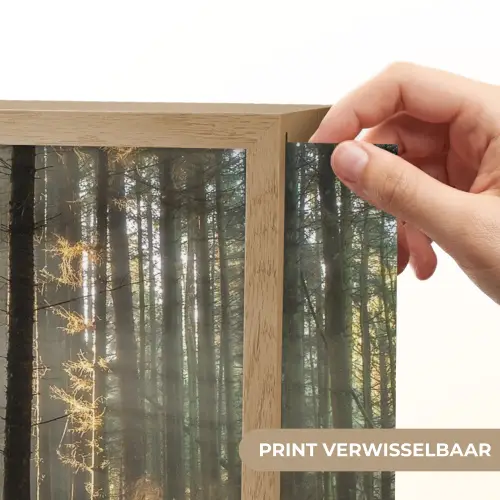 Zon - Takken - Bomen - Bos - Natuur Light Box met batterij (Wandlamp) middel -USP_websiteprintNL