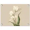 Tulpen - Wit - Bladeren tuinposter los doek klein -3d