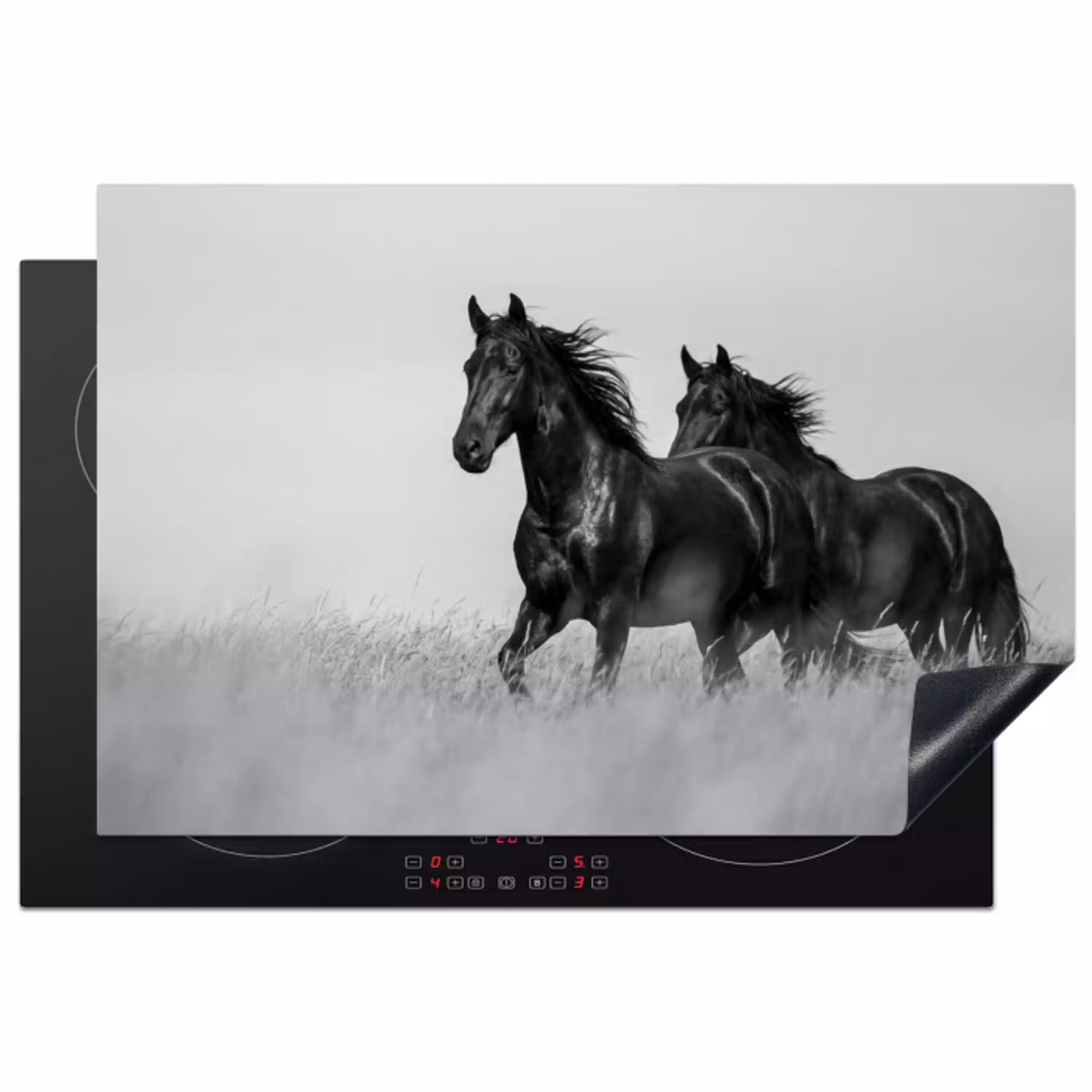 Paarden - Gras - Zwart - Wit Inductie beschermer vinyl 3mm klein -3d
