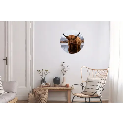 Schotse hooglander - Bruin - Water Wandcirkel aluminium klein -woonkamer