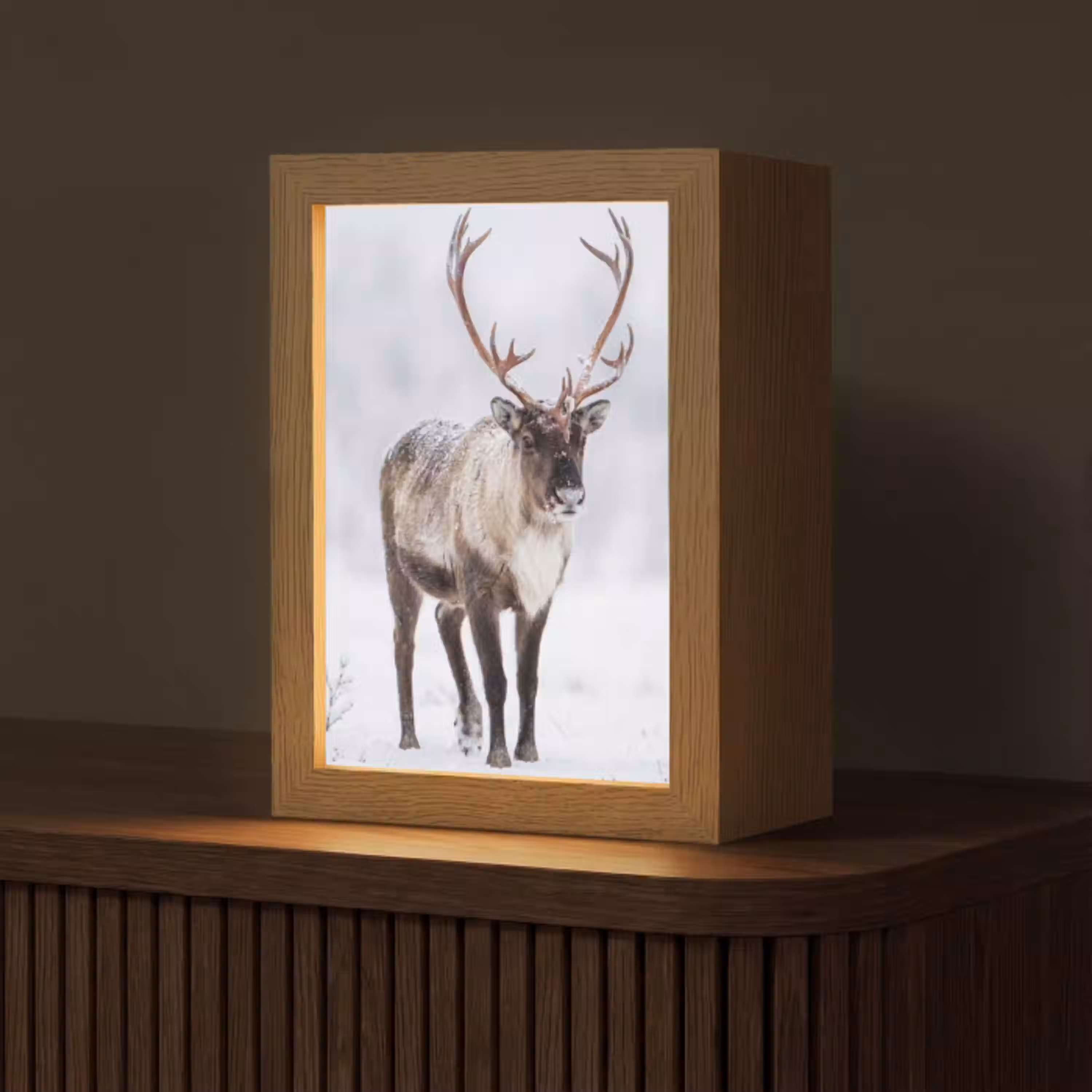 Rendier - Gewei - Toendra - Sneeuw - Wild Light Box met kabel (Tafellamp) klein -z3d_website