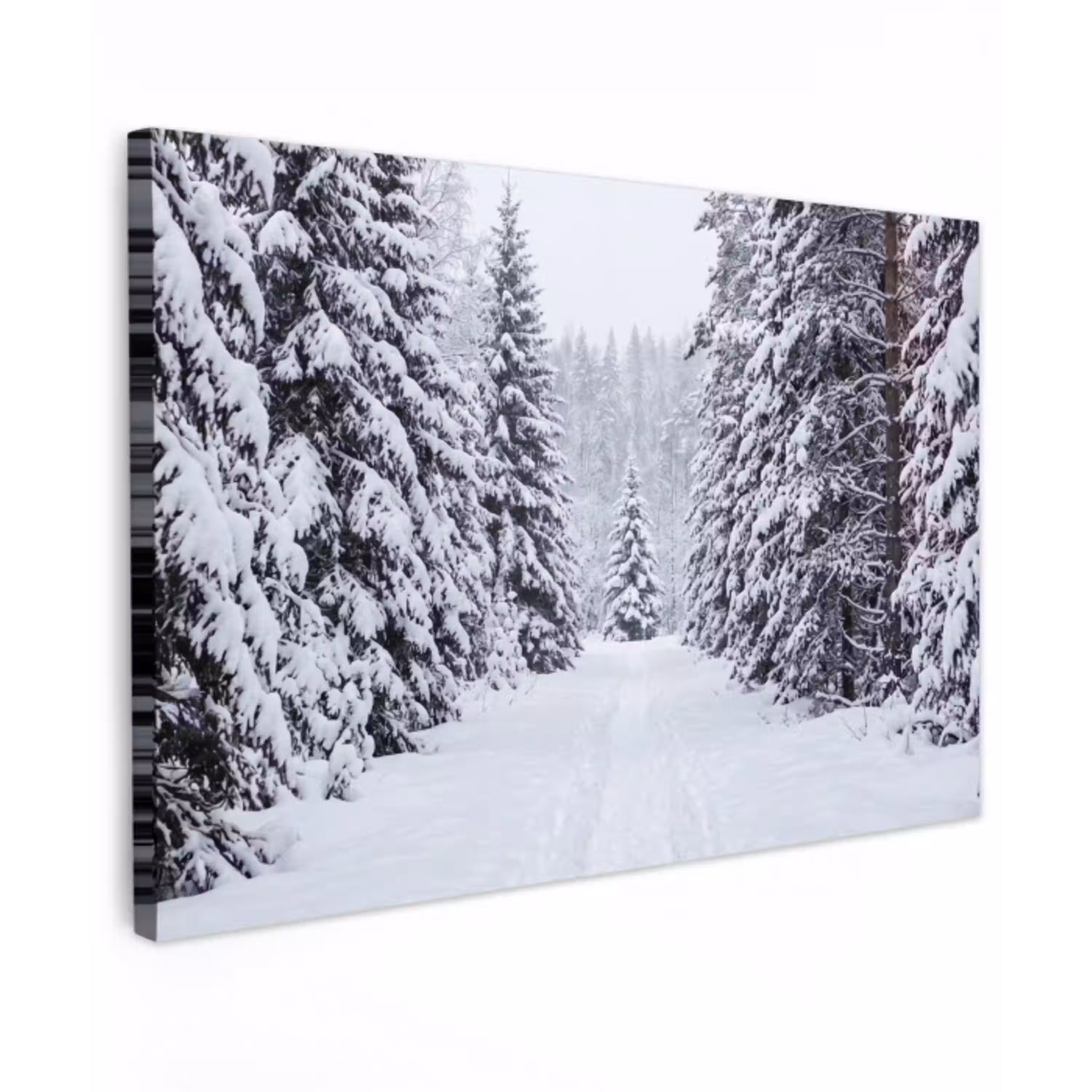 Bos - Winter - Sneeuw - Pad - Natuur Tuinposter op houten frame 2 cm dik klein -3d