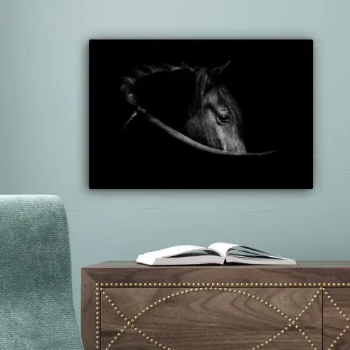 Paarden - Portret - Zwart - Dieren canvas 2cm klein -sfeer4