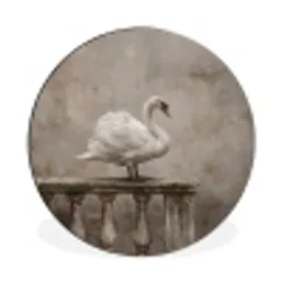 Zwaan - Elegant - Dieren - Wit Wandcirkel aluminium klein -3d