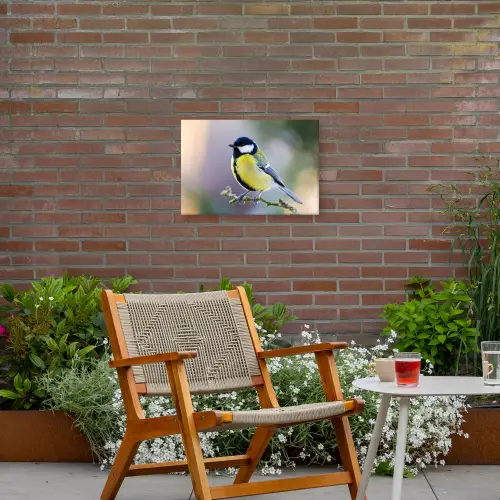 Koolmees op een Tak Tuinposter op houten frame 2 cm dik klein -sfeer3