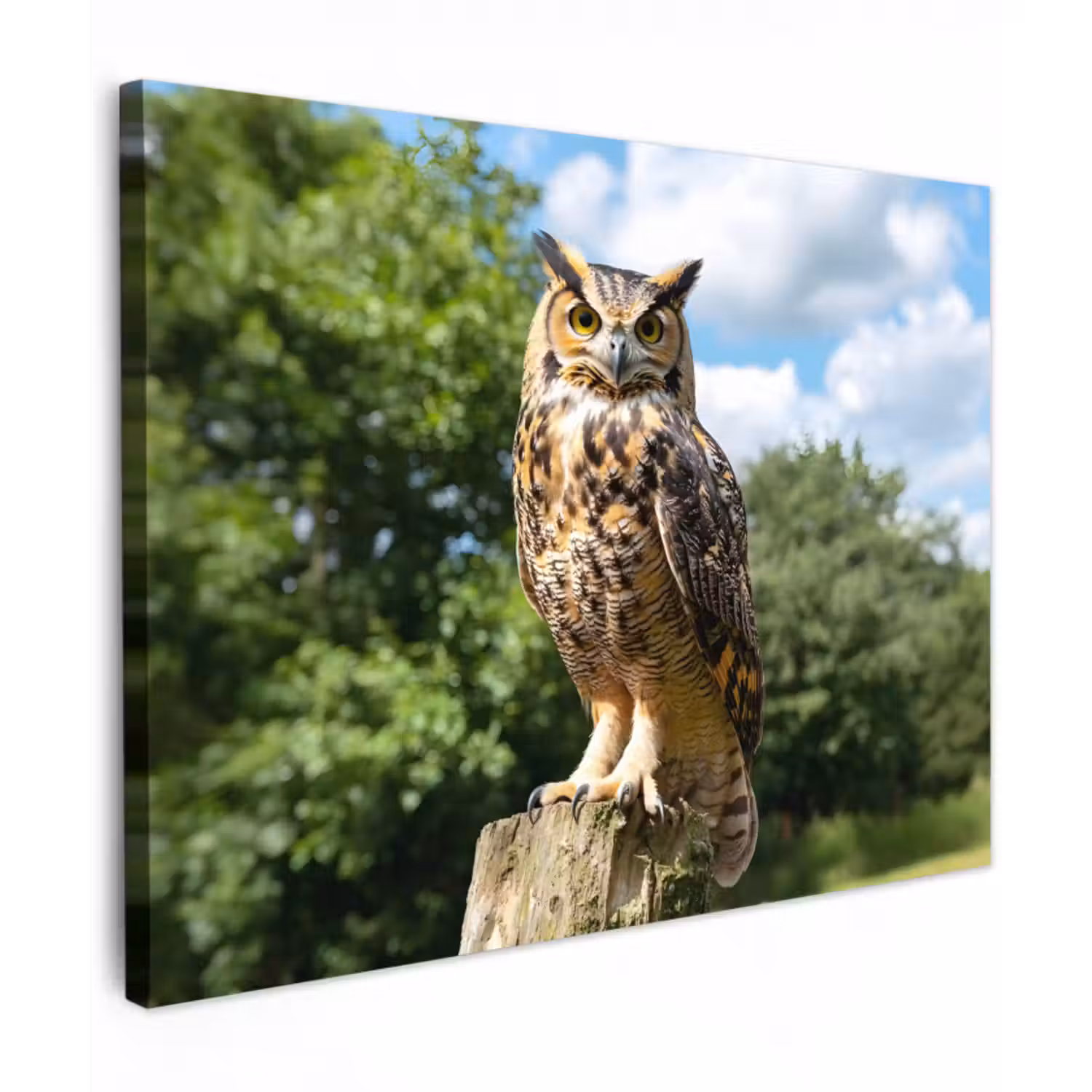 Leinwandbild - Eule - Baumstamm - Wald - Himmel