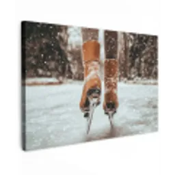 Schaatsen - IJs - Winter - Sneeuw Tuinposter op houten frame 2 cm dik klein -3d