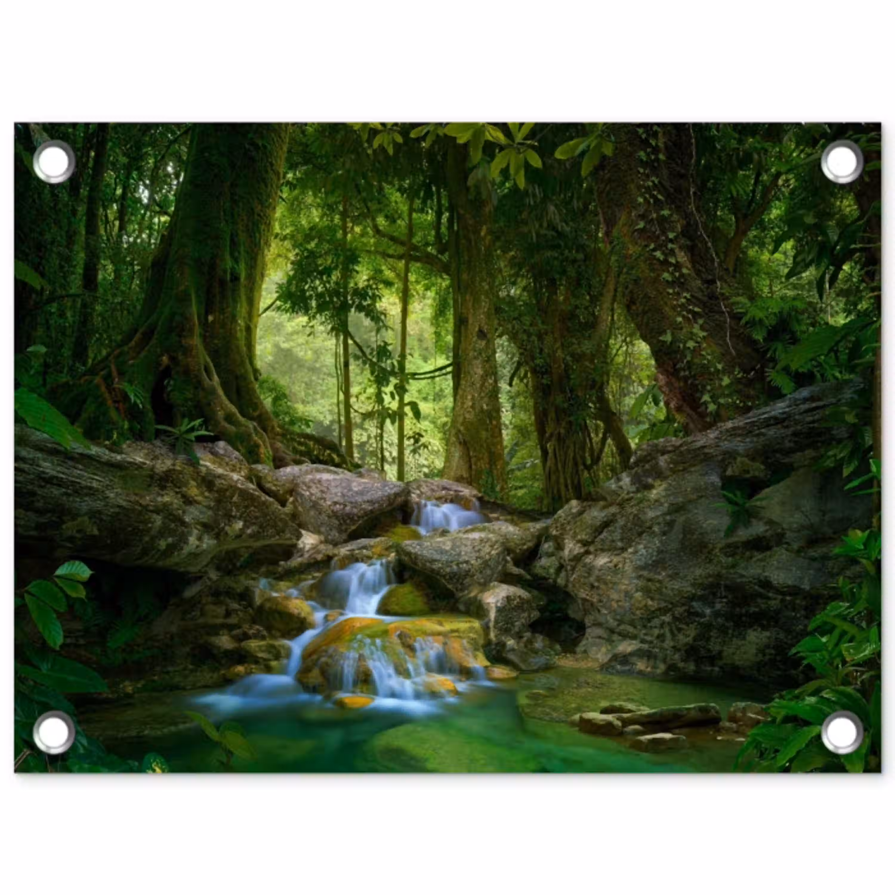 Waterval in het Regenwoud tuinposter los doek klein -3d