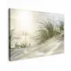 Duinen met helmgras onder de zon van het Duitse nationaal Park Schleswig-Holsteinisches Wattenmeer canvas 2cm klein -z3d