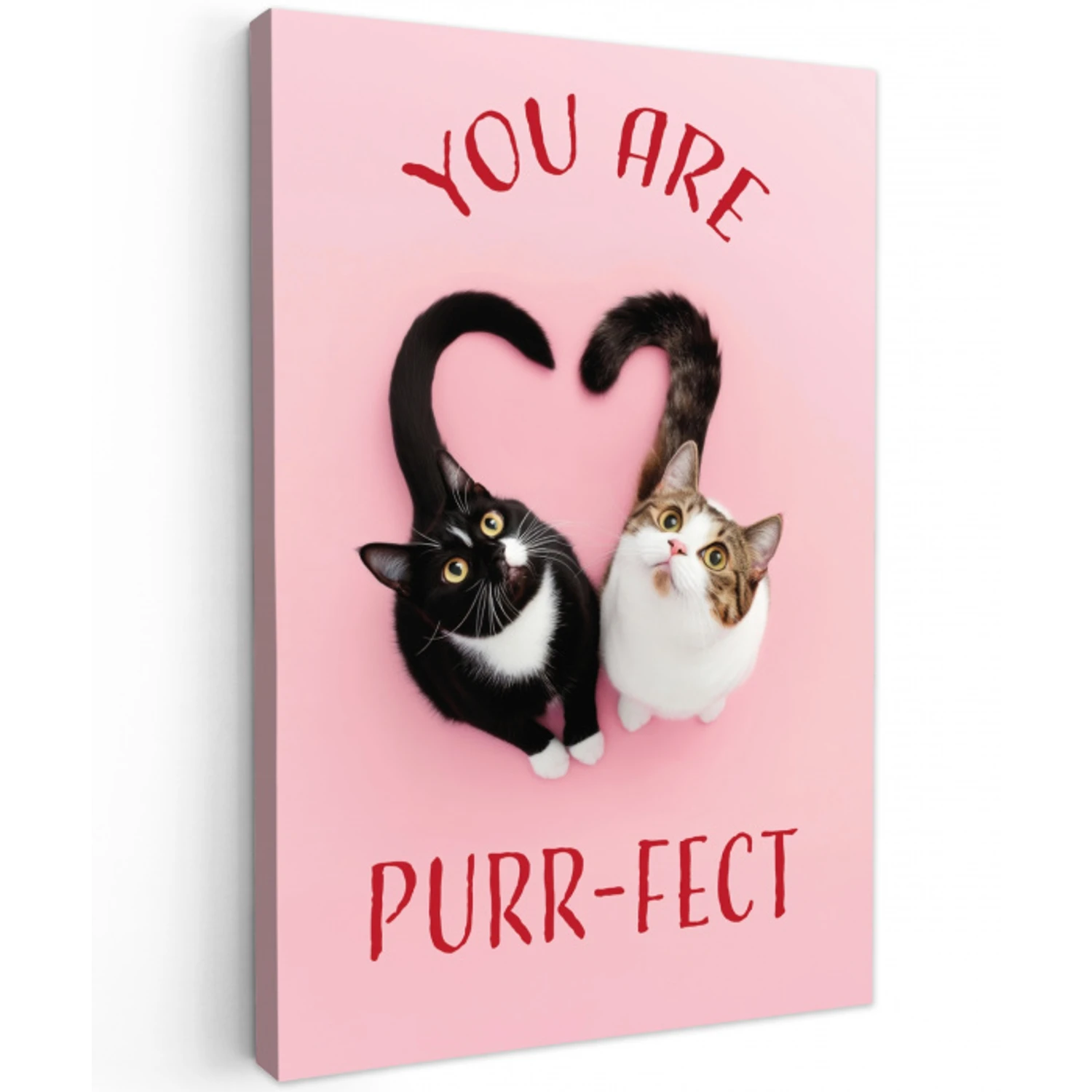 Kat - Hart - Tekst - Valentijn Tuinposter op houten frame 2 cm dik klein -3d