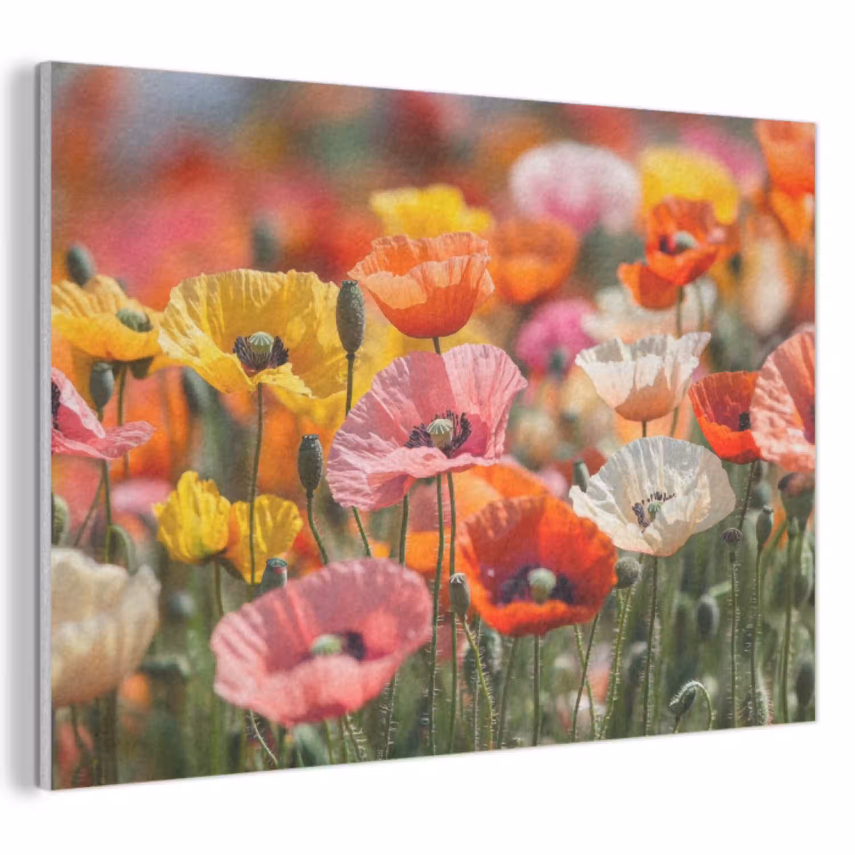 Bloemenveld - Klaprozen - Kleurrijk PET vilt klein -3d