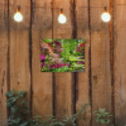 Kleurrijke Japanse tuin tuinposter los doek klein -sfeer1