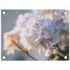 Bloemen - Lichtblauw - Wazig - Trosje tuinposter los doek klein -3d