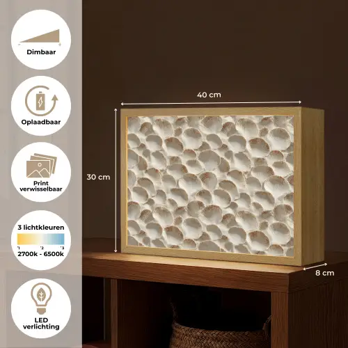 Schelpen - Waaiervorm - Wit Light Box met batterij (Wandlamp) middel 907 -USP_websiteoverzichtNL