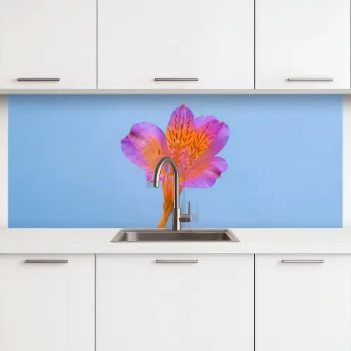 Bloem - Detail - Kleurrijk keuken achterwand 2 middel -3d