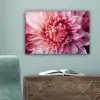 Dahlia - Bloem - Close up - Roze canvas 2cm klein -sfeer4
