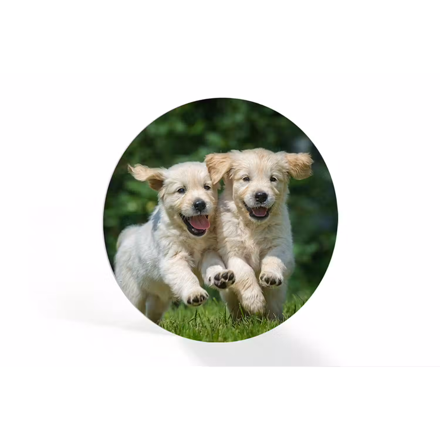 Foto op forex rond