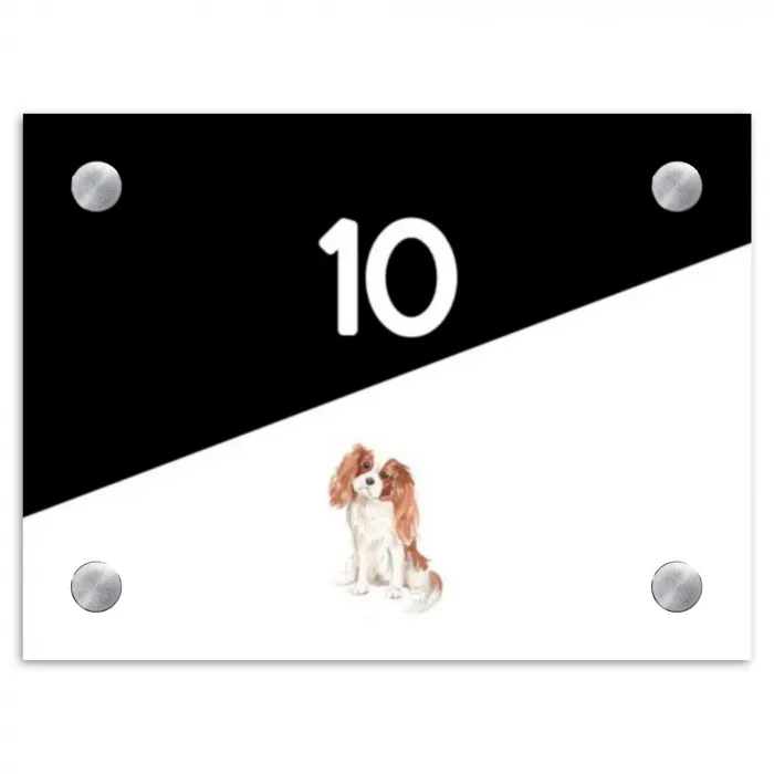 Zwart wit - Huisdier - Cavalier King Charles Spaniël Naambord Rechthoek middel -3d