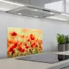 Klaprozen - Bloemen - Rood - Bloemenveld keuken achterwand spatscherm klein -3d_schuin