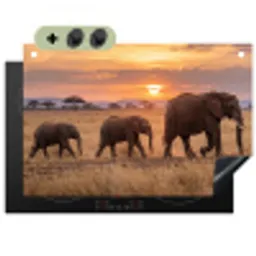 Olifanten - Savanne - Zonsondergang - Afrika - Warm Inductie beschemer met haakjes klein -3d