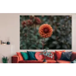 Dahlia - Bloem - Natuur - Sfeervol forex 5mm xxl -woonkamer
