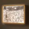 Droogbloemen - Wit - Planten Light Box met batterij (Wandlamp) middel -z3d_website