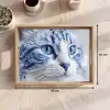 Kat - Patroon - Blauw Dienblad Rechthoek middel -USP_Formaat