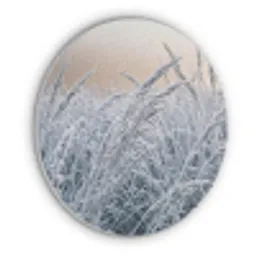 Rijp - Gras - Kristallen - Winter - Minimalistisch Akoestische PET Vilt - Rond klein -3d