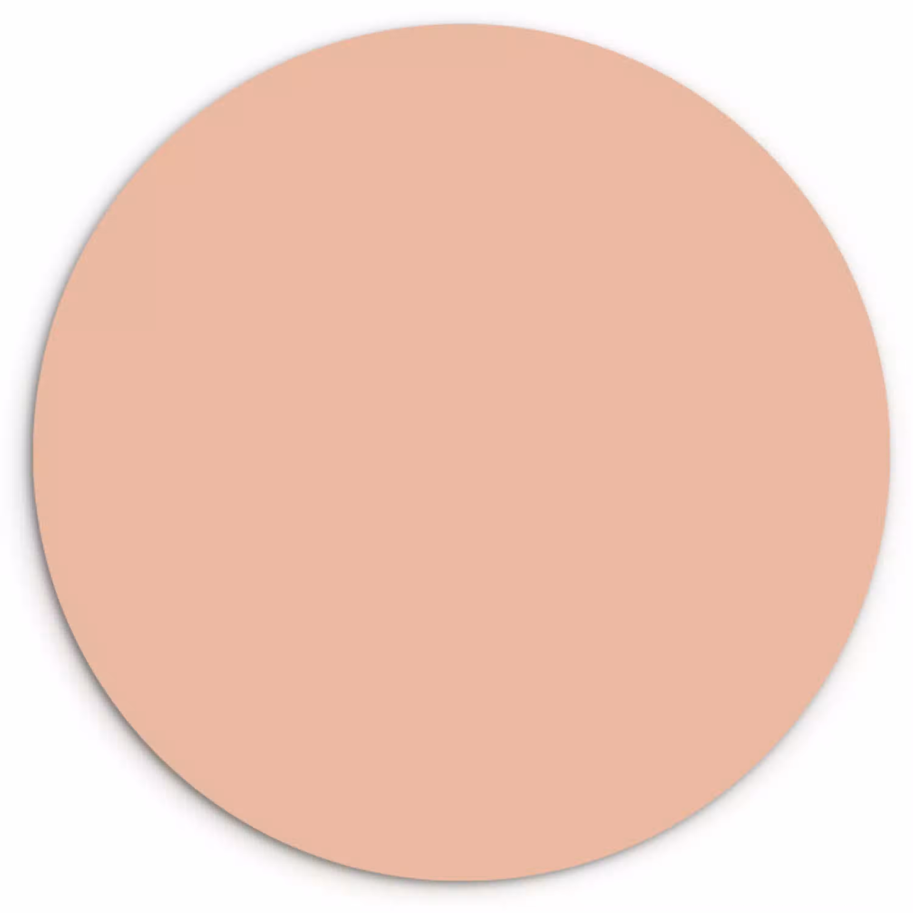 Blush - Terracotta - Nude Wandcirkel kunststof plaat 5mm dik klein 188 -3d