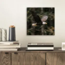 Zeearend - Vliegen - Bos - Natuur aluminium wit klein -sfeer1